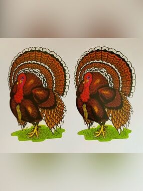 Retro Turkey Cutout Pair - Brown & Orange Thanksgiving Decor
